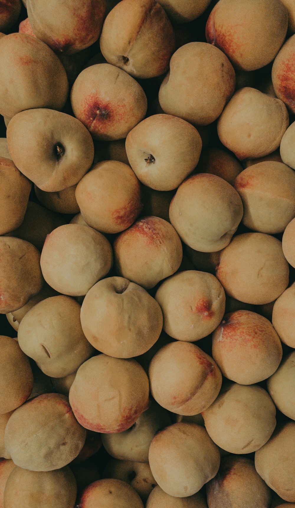 round green fruits