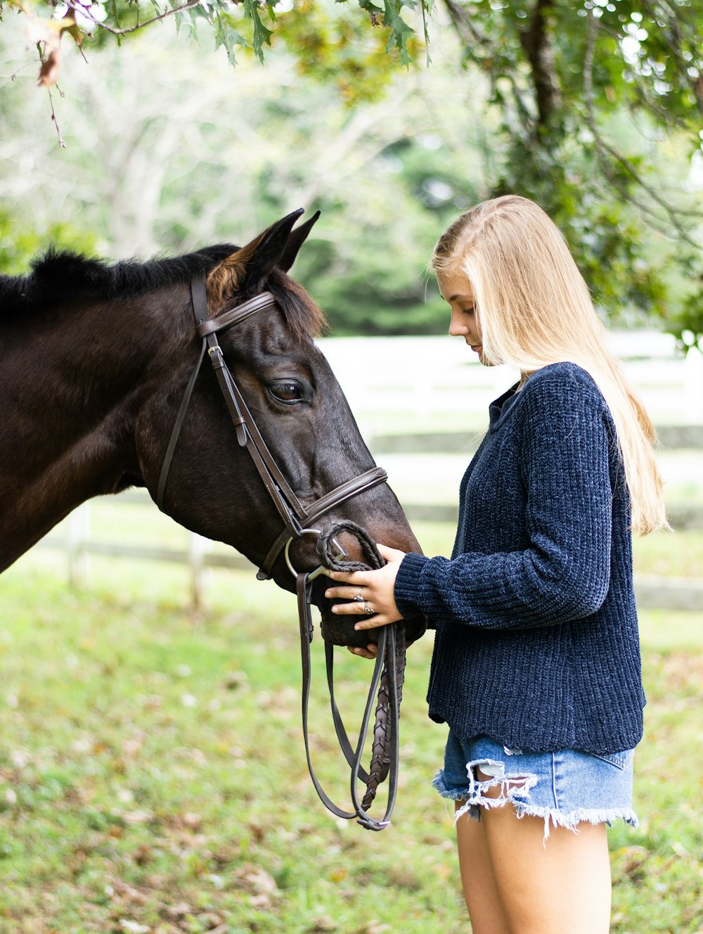 man standing in front of the horse photograph