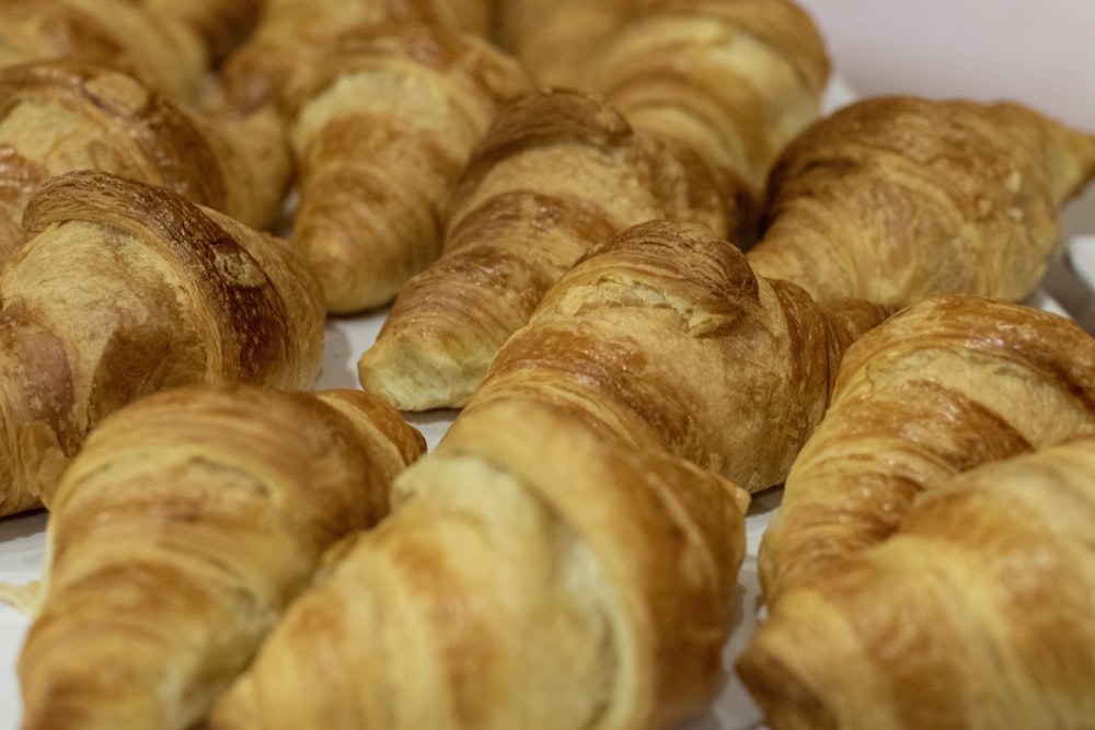 tray of brown croissant breads