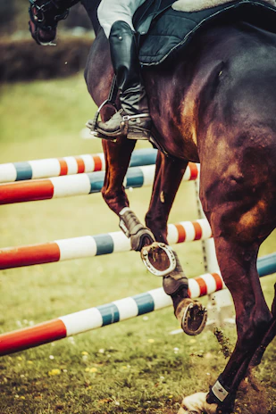 A poised hunter jumper mid-air over a polished wooden fence, set against a soft-focus green arena background.