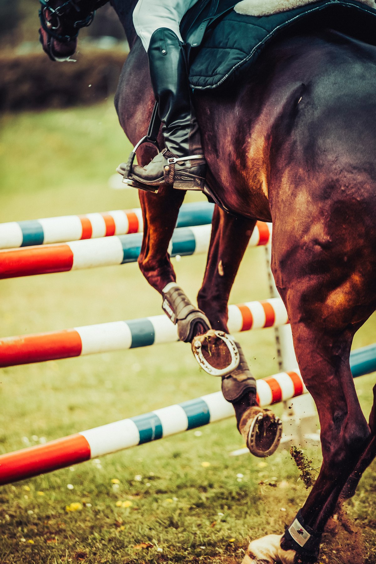 Great American Dressage Classic