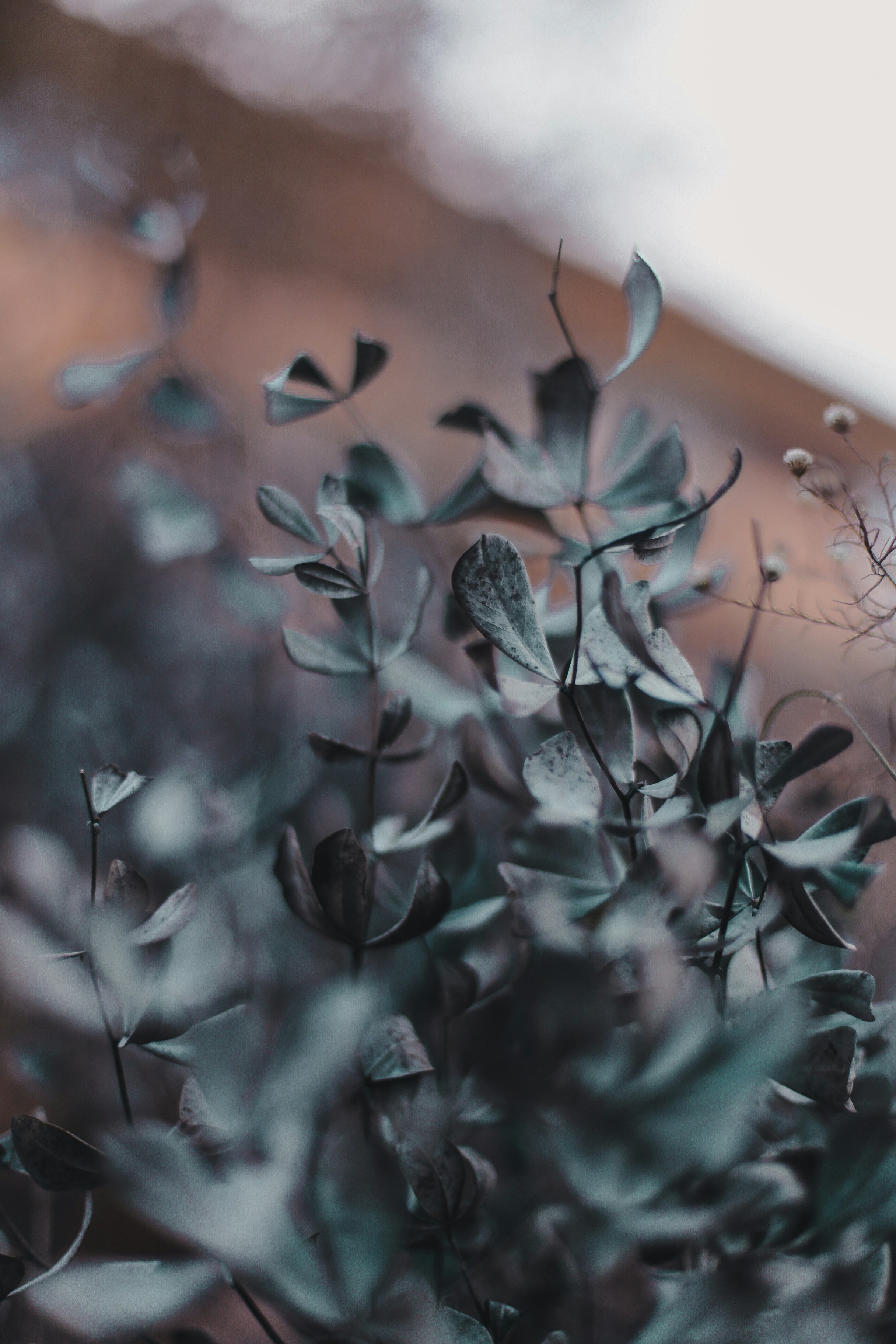 Photo by jessicalfadel