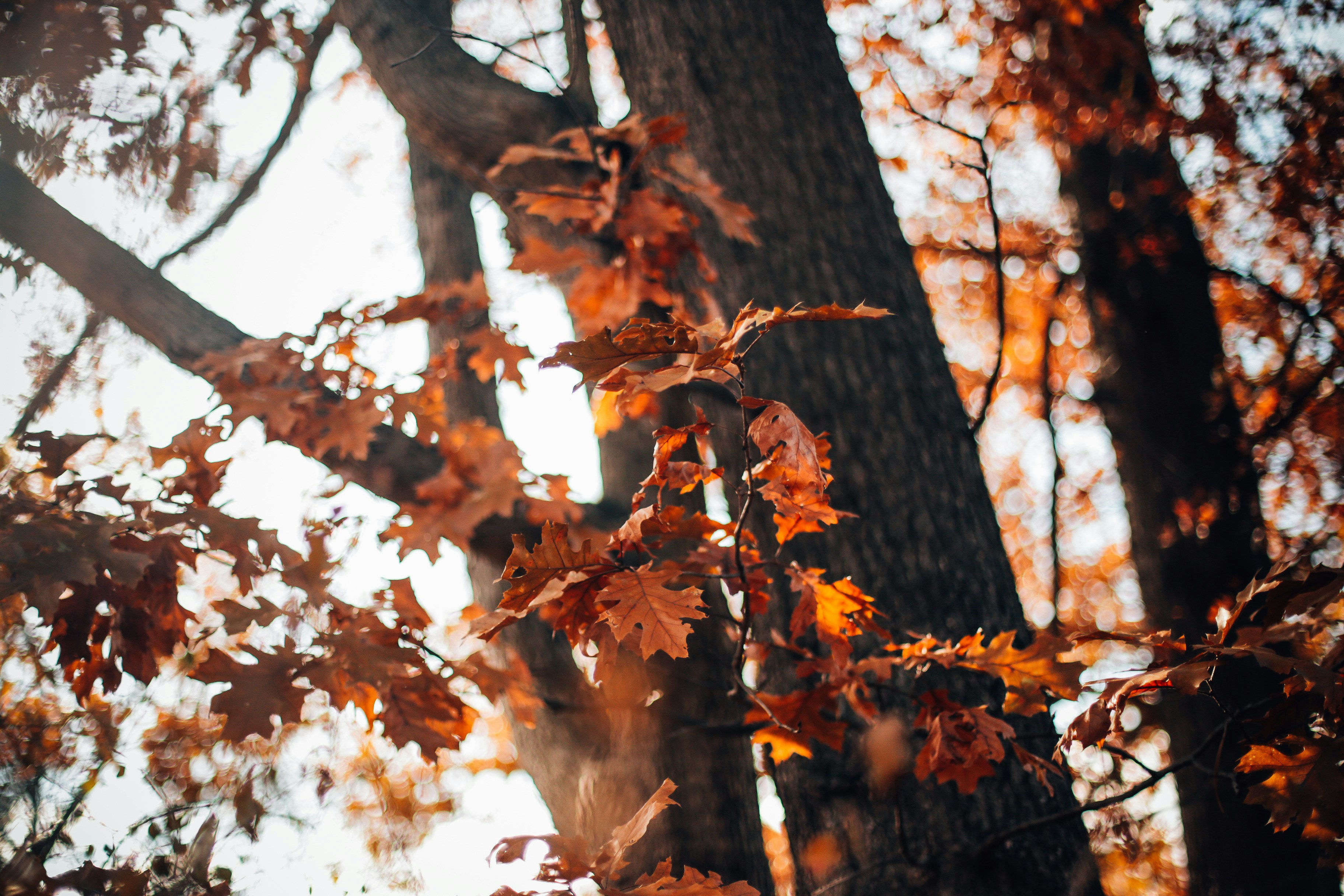 Photo by jessicalfadel