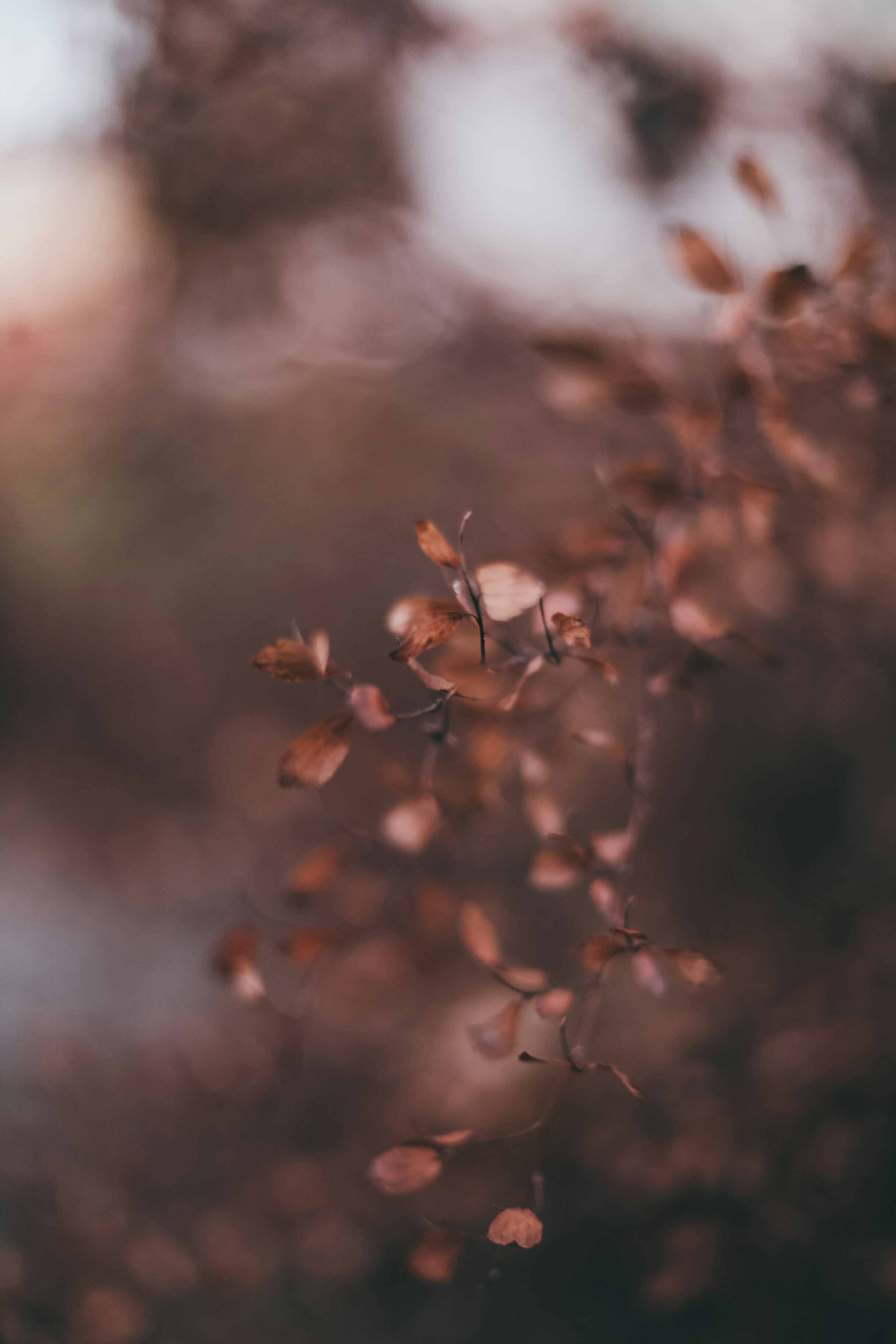 Photo by jessicalfadel