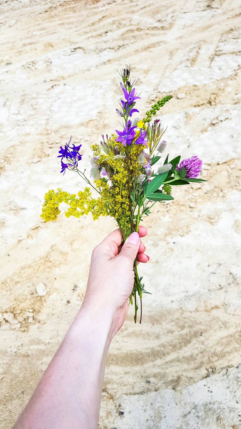 assorted flowers