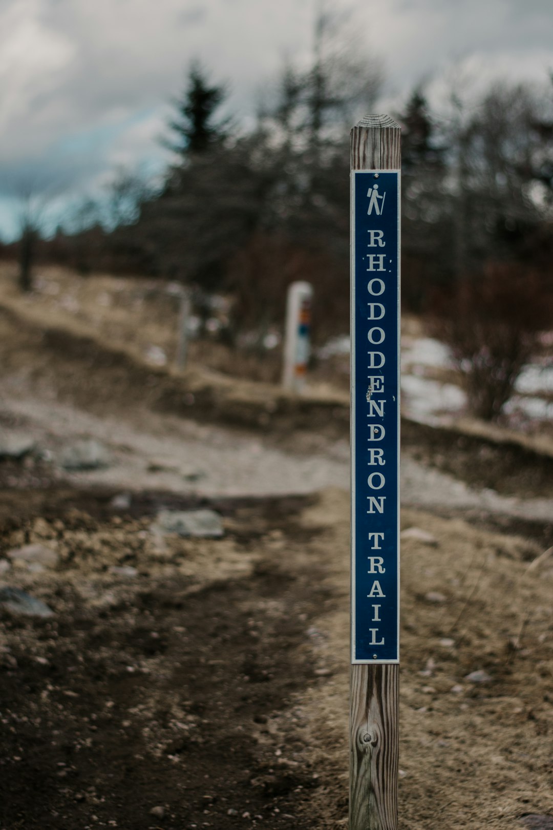 Rhododendron Trail signage