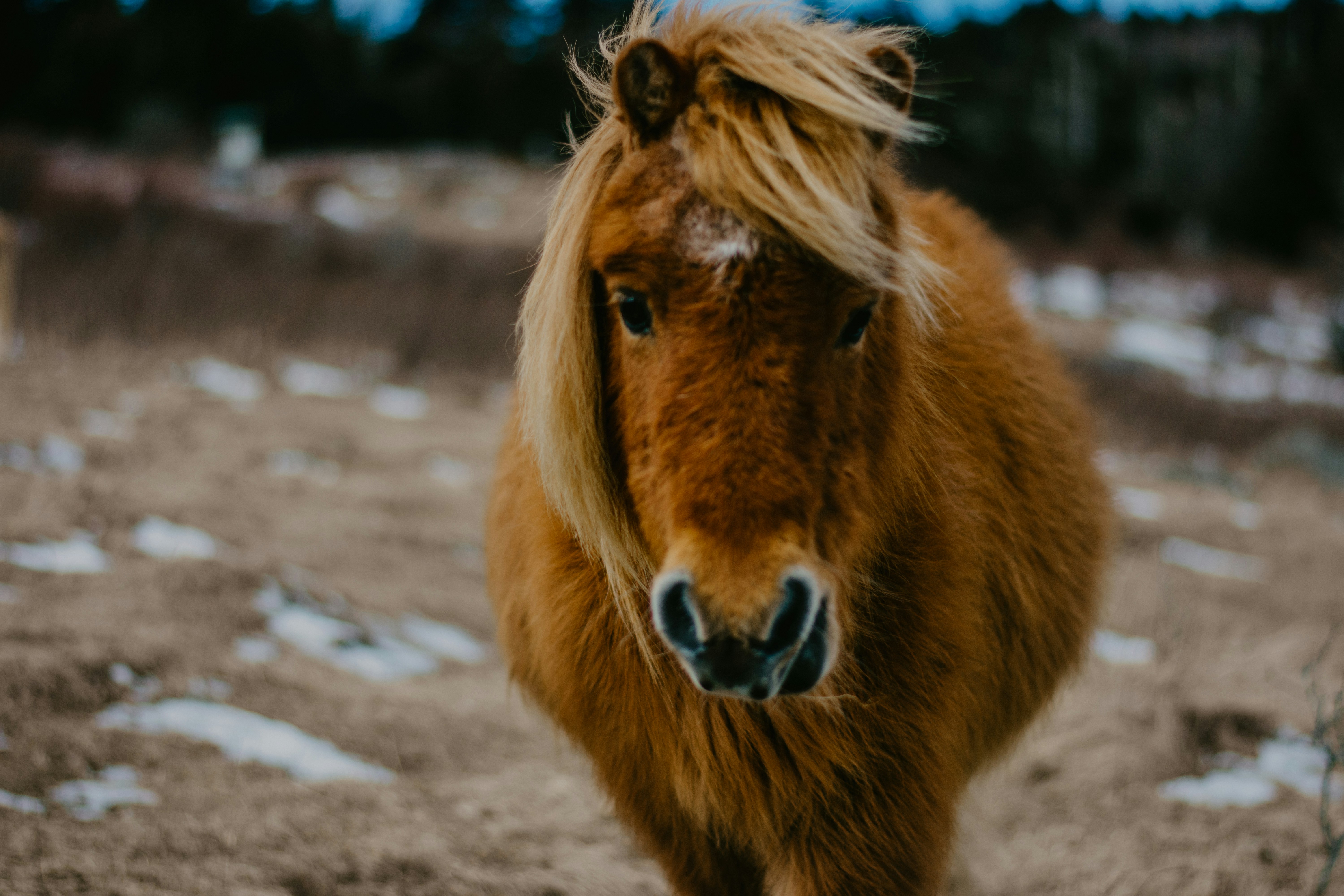 Photo by brittaniburns