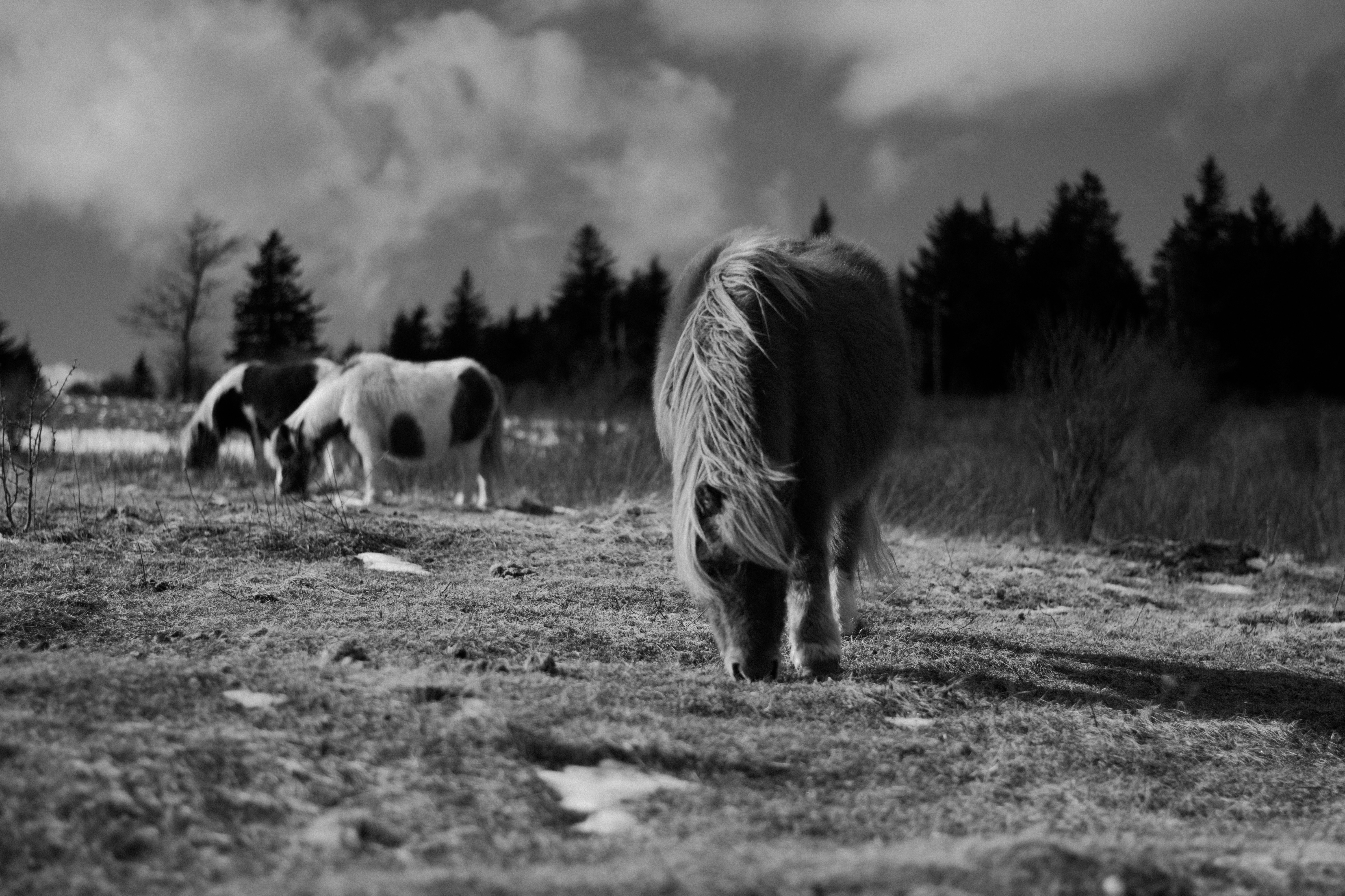 Photo by brittaniburns