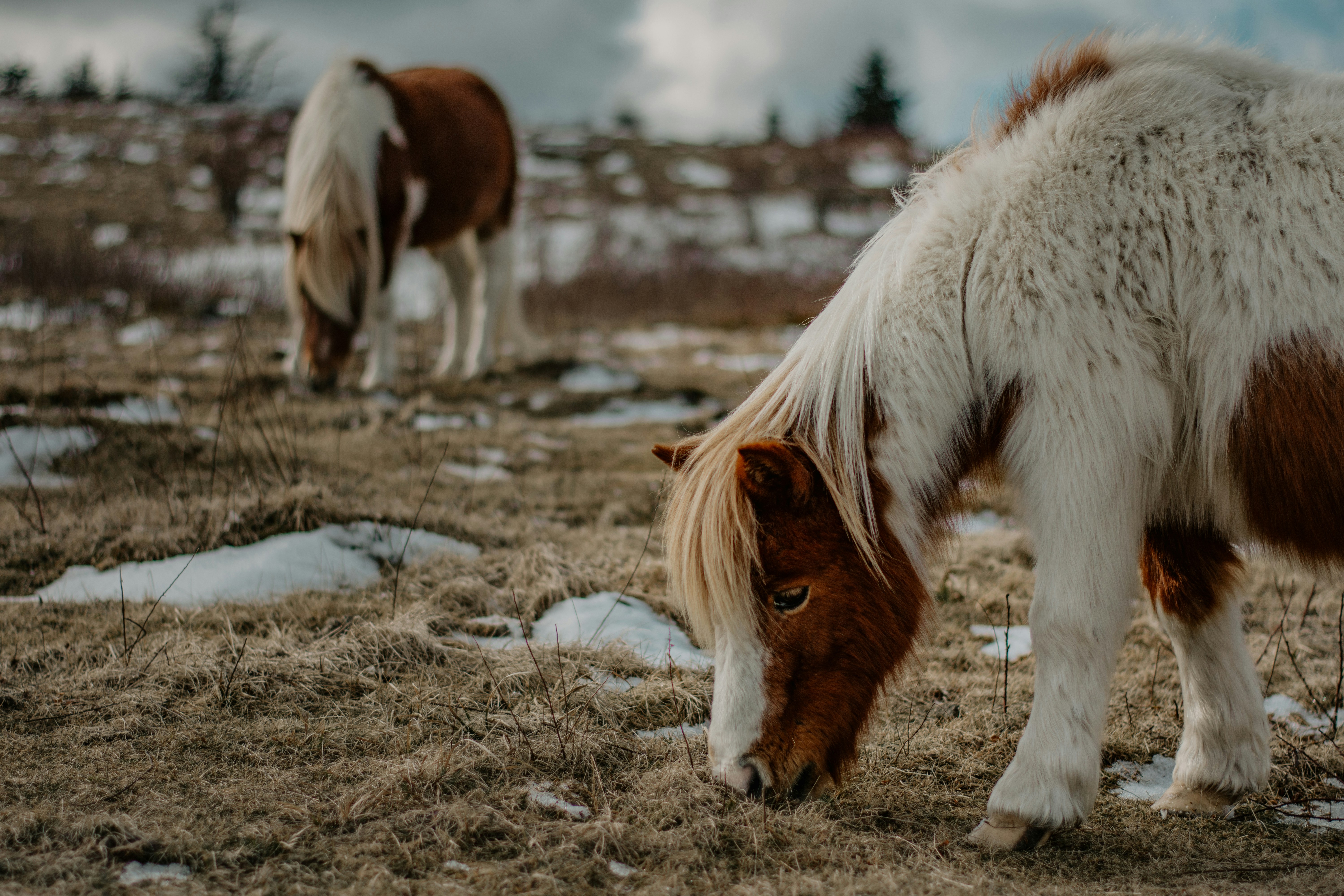 Photo by brittaniburns