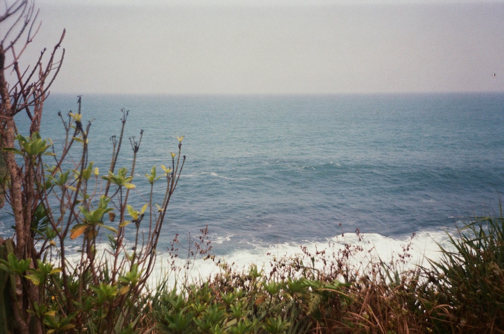 crashing waves during daytime