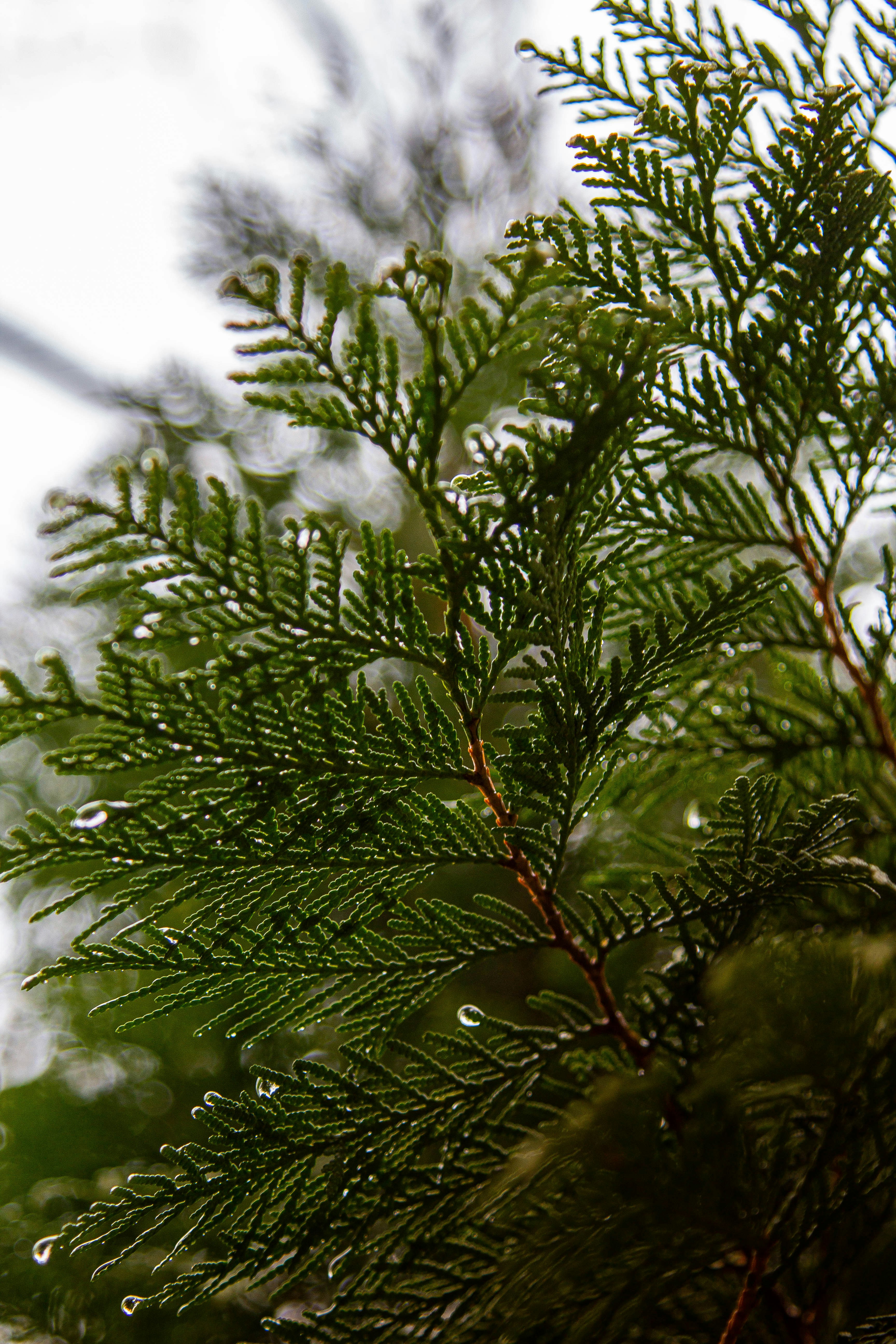 Photo by mason_hassoun