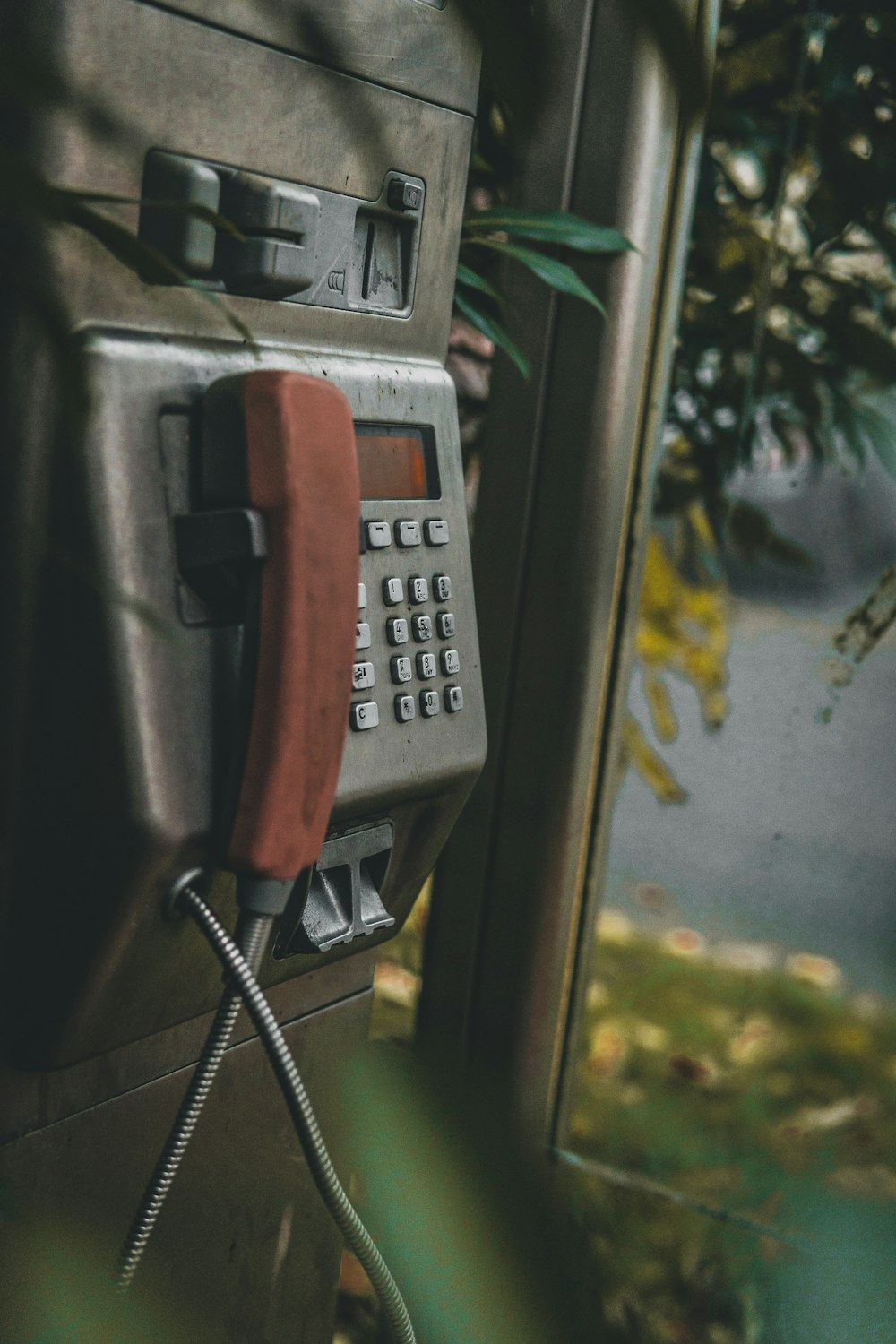 Teléfono público gris al lado del árbol