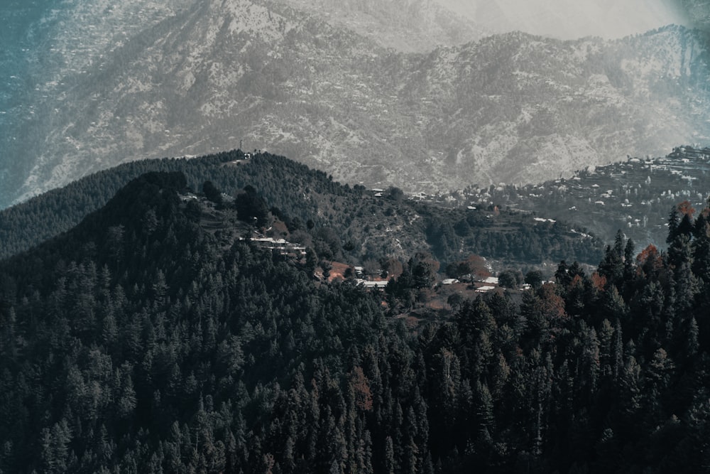 green trees near mountain during daytime