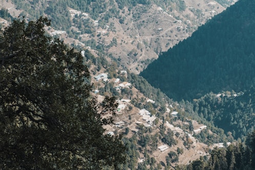 aerial view of trees on mountains