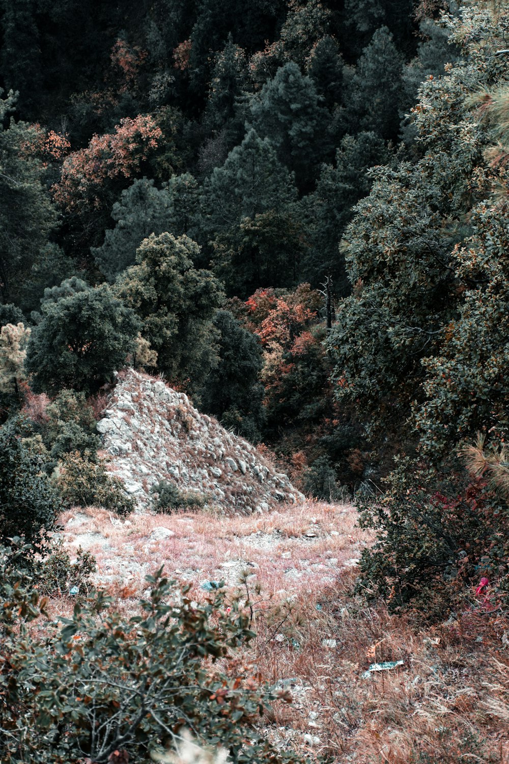 gray rock surrounded with green trees