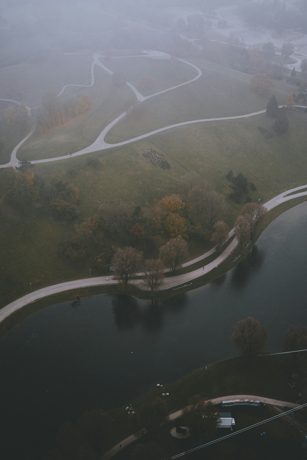 high-angle photo of trees and body of water