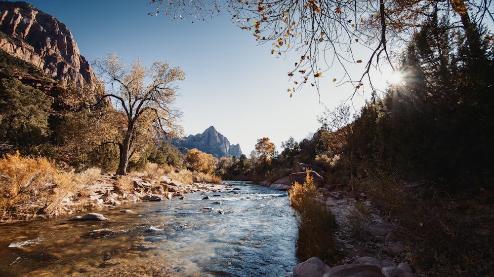 view photography of lake between trees and mountain