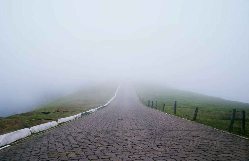 bricked pavement through foggy way