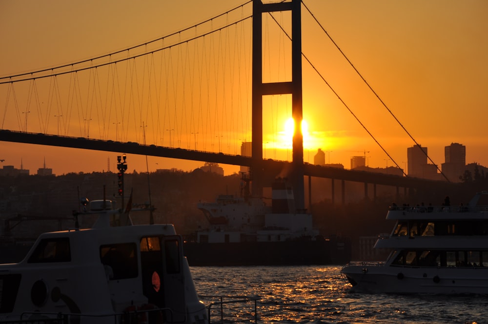 cruise ship near bridge during golden hour