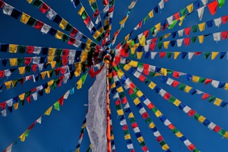 low-angle photography of multicolored pennant flags