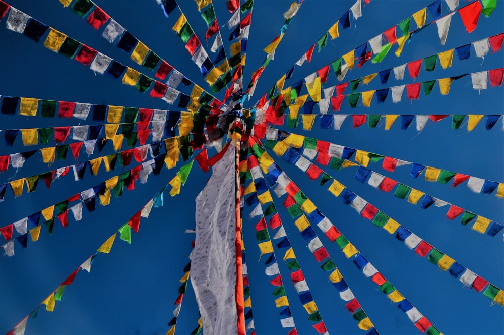 fotografia dal basso di bandiere multicolori