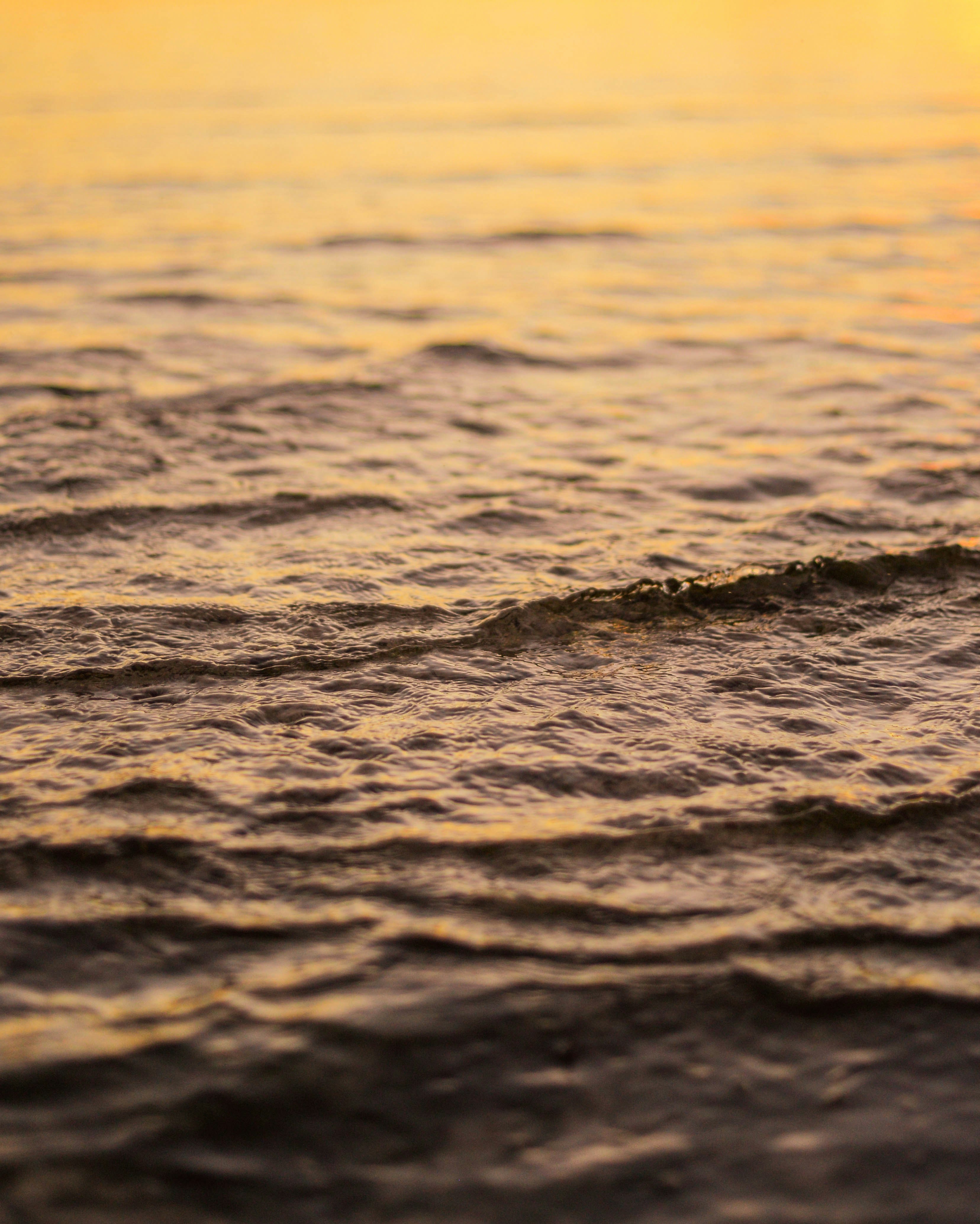 Photo by ibrahim_ifaax