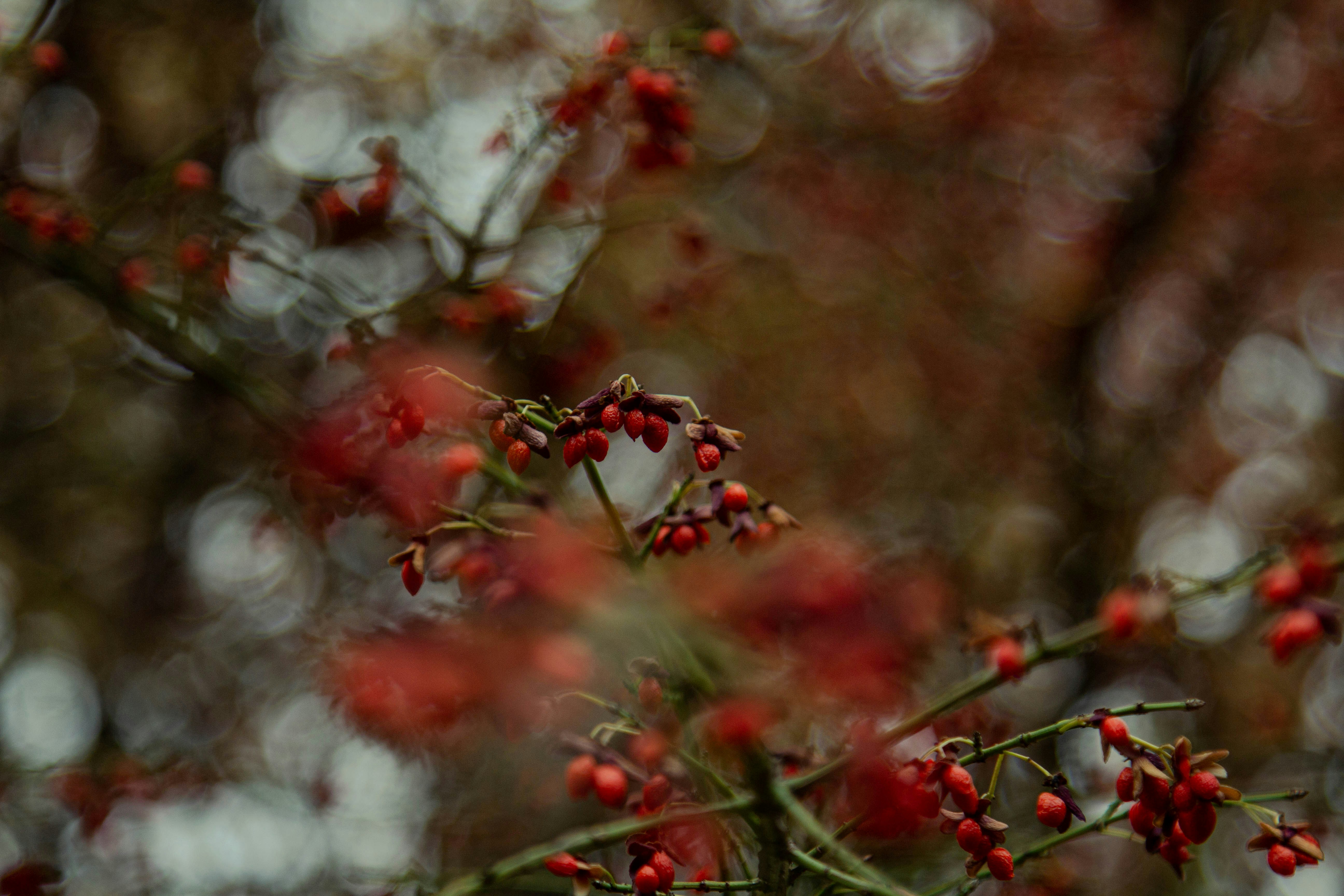 Photo by mason_hassoun