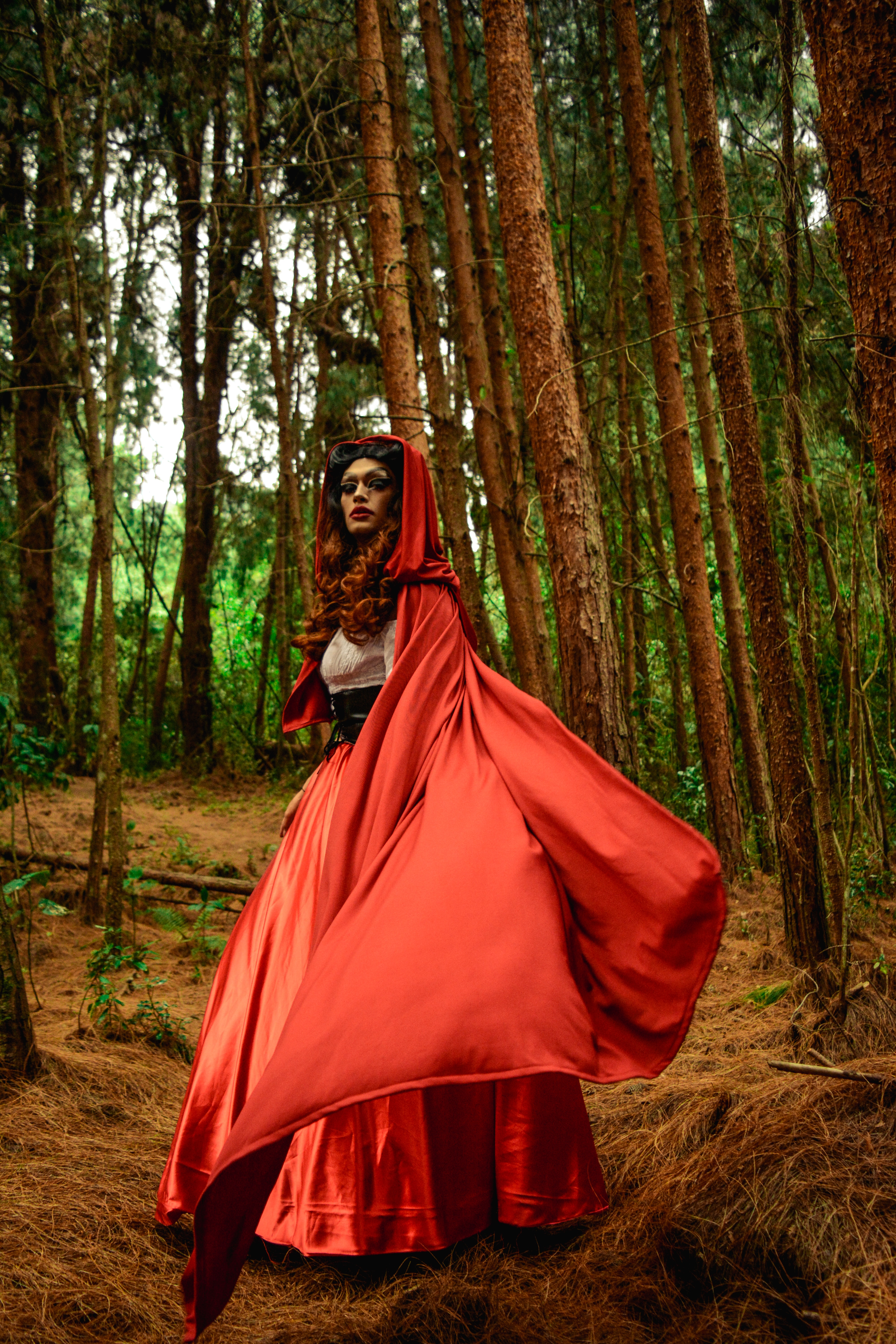 Photo by nicolasladinosilva