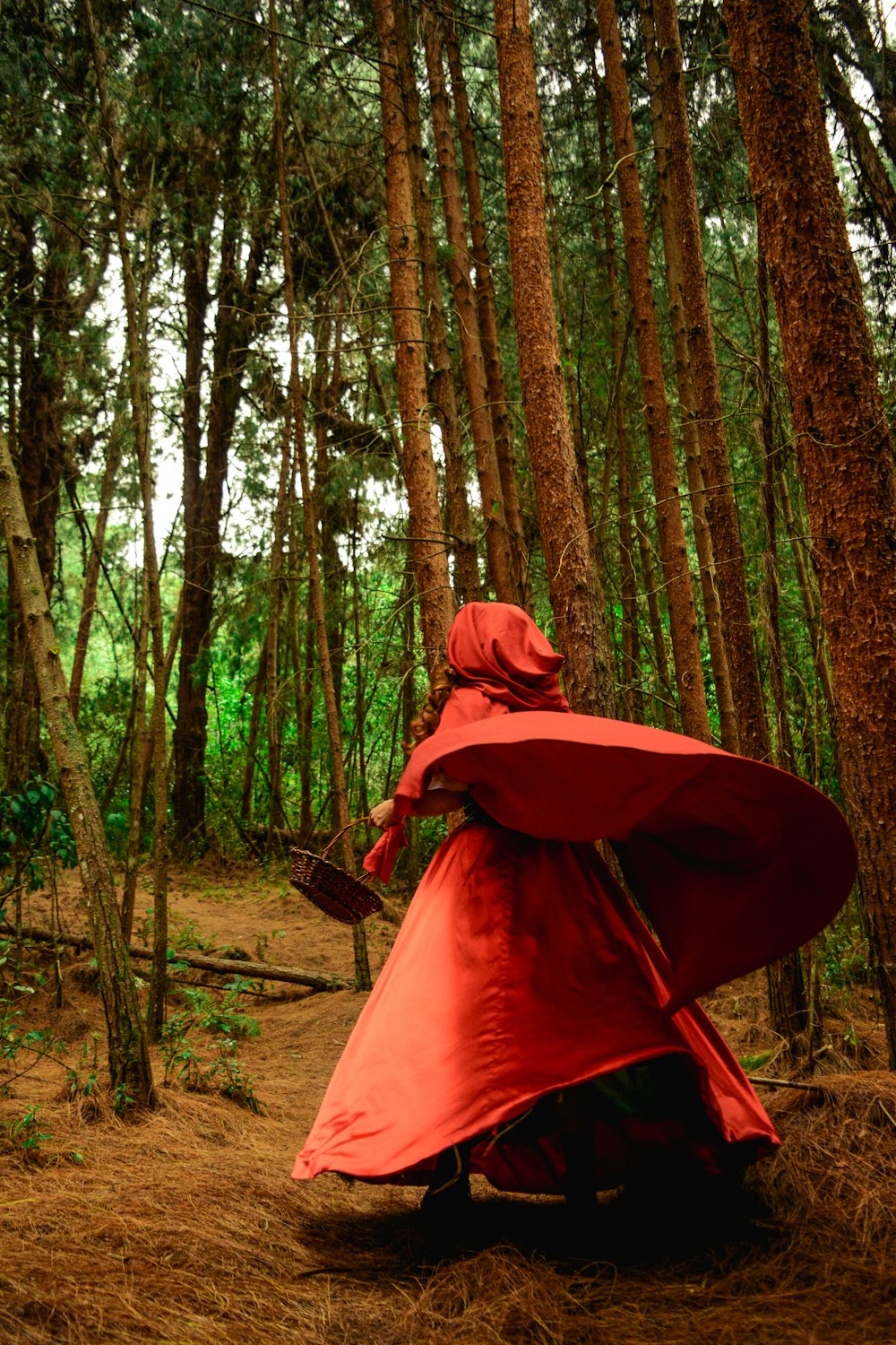 person in red hooded dress in forest