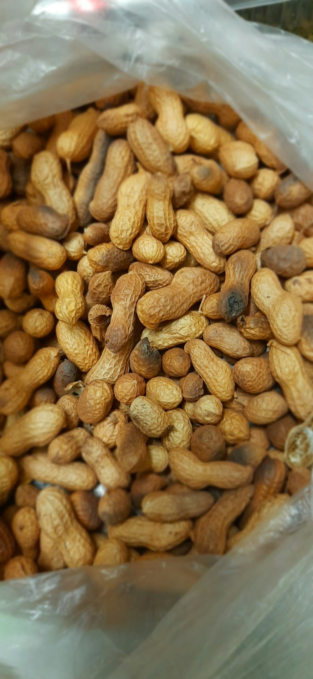 peanuts in clear plastic pack