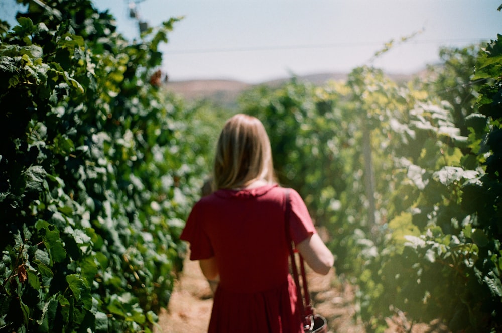 shallow focus photo of person in maroon T-shirt near green plants