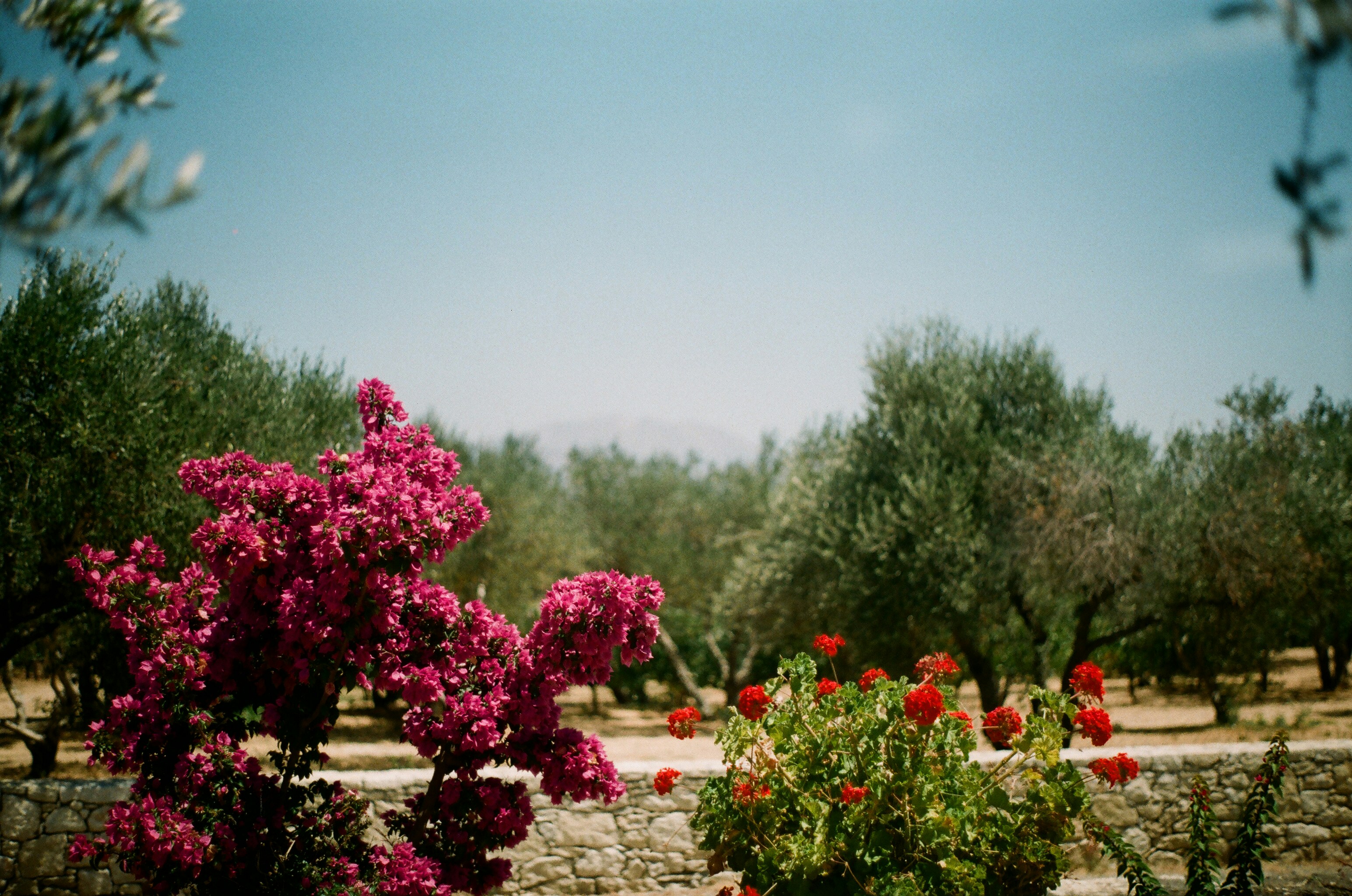 Photo by bhoogenboom