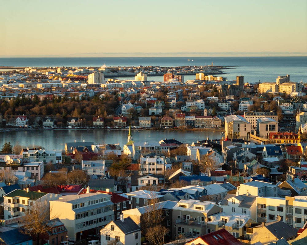 aerial photography of buildings