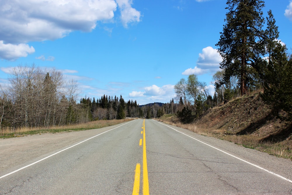 Árboles cerca de la carretera