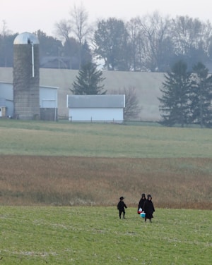 A rural landscape featuring a field with three people dressed in dark clothing walking across it. In the background, there is a silo and a barn surrounded by trees, with a slightly overcast sky.