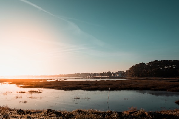 Discovering Vannes: Local Dishes, Restaurants & Recipes