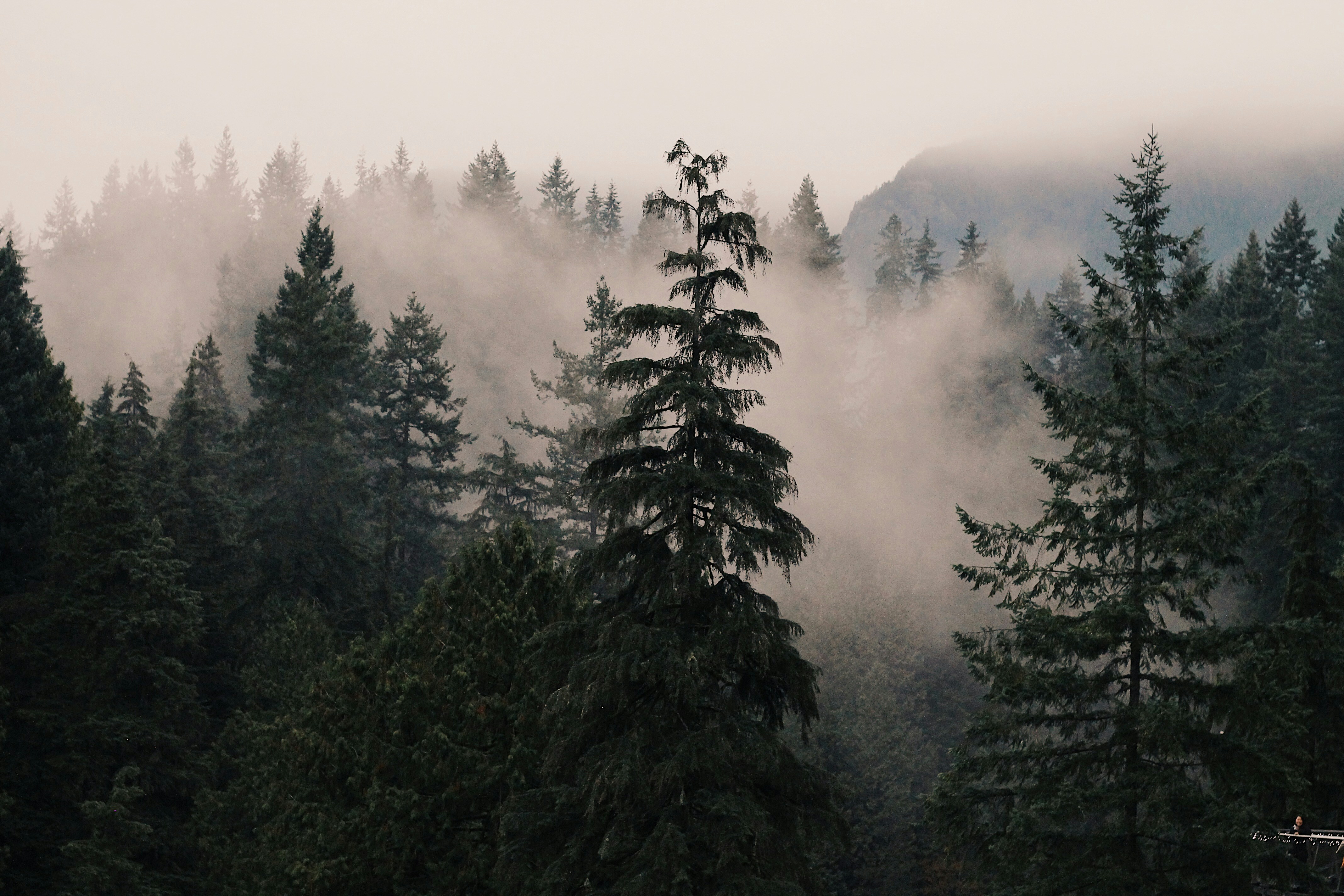 Photo by sydneyangove