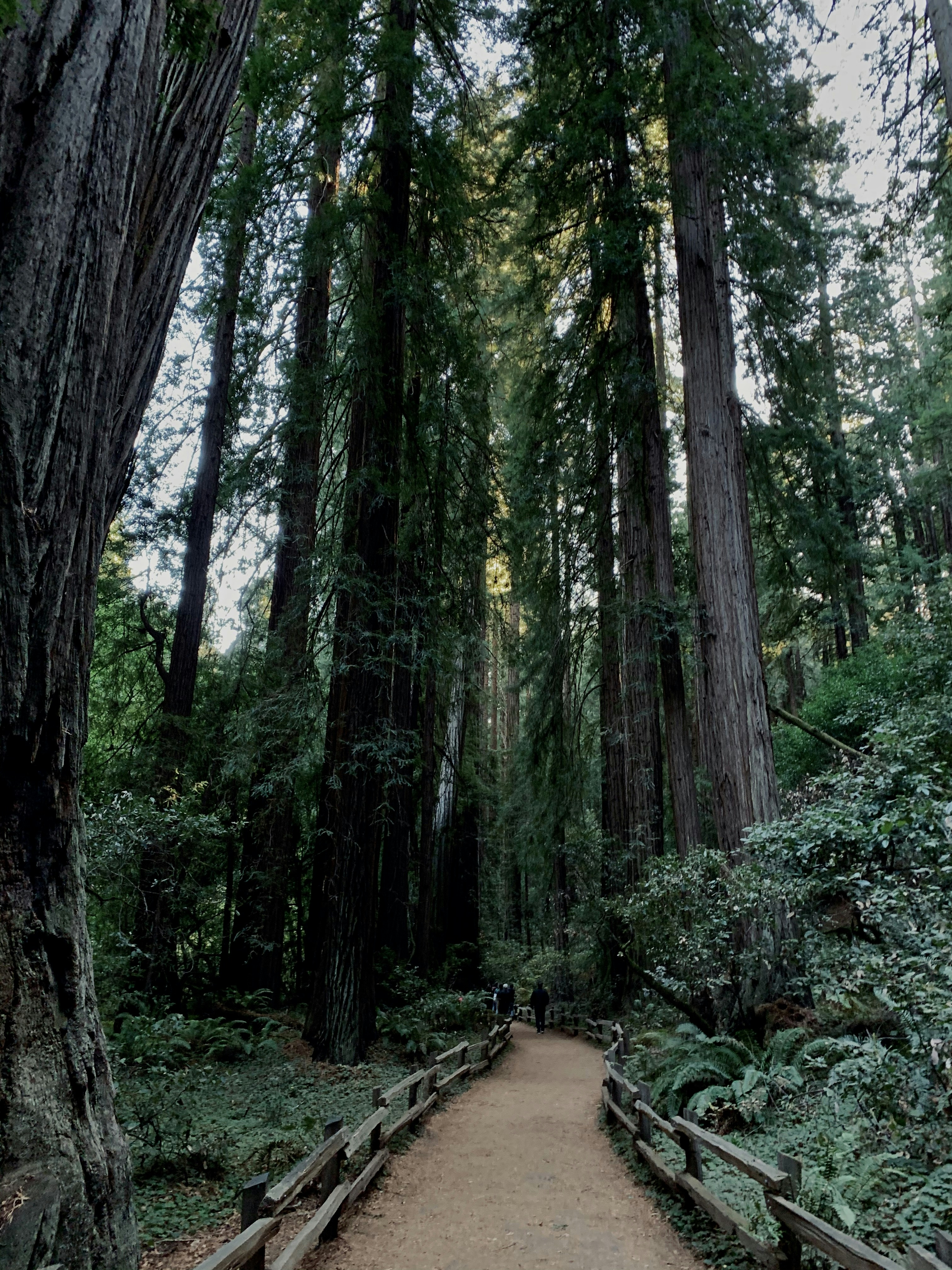 Photo by logan_easterling