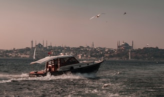 A boat is traveling through the water with seagulls flying overhead. In the background, a cityscape features several mosques with domes and minarets, under a clear sky.