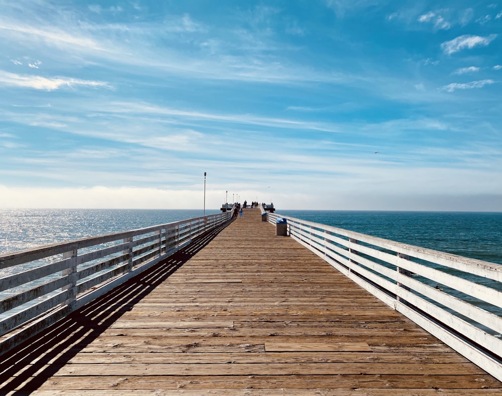 brown wooden dock near ocean