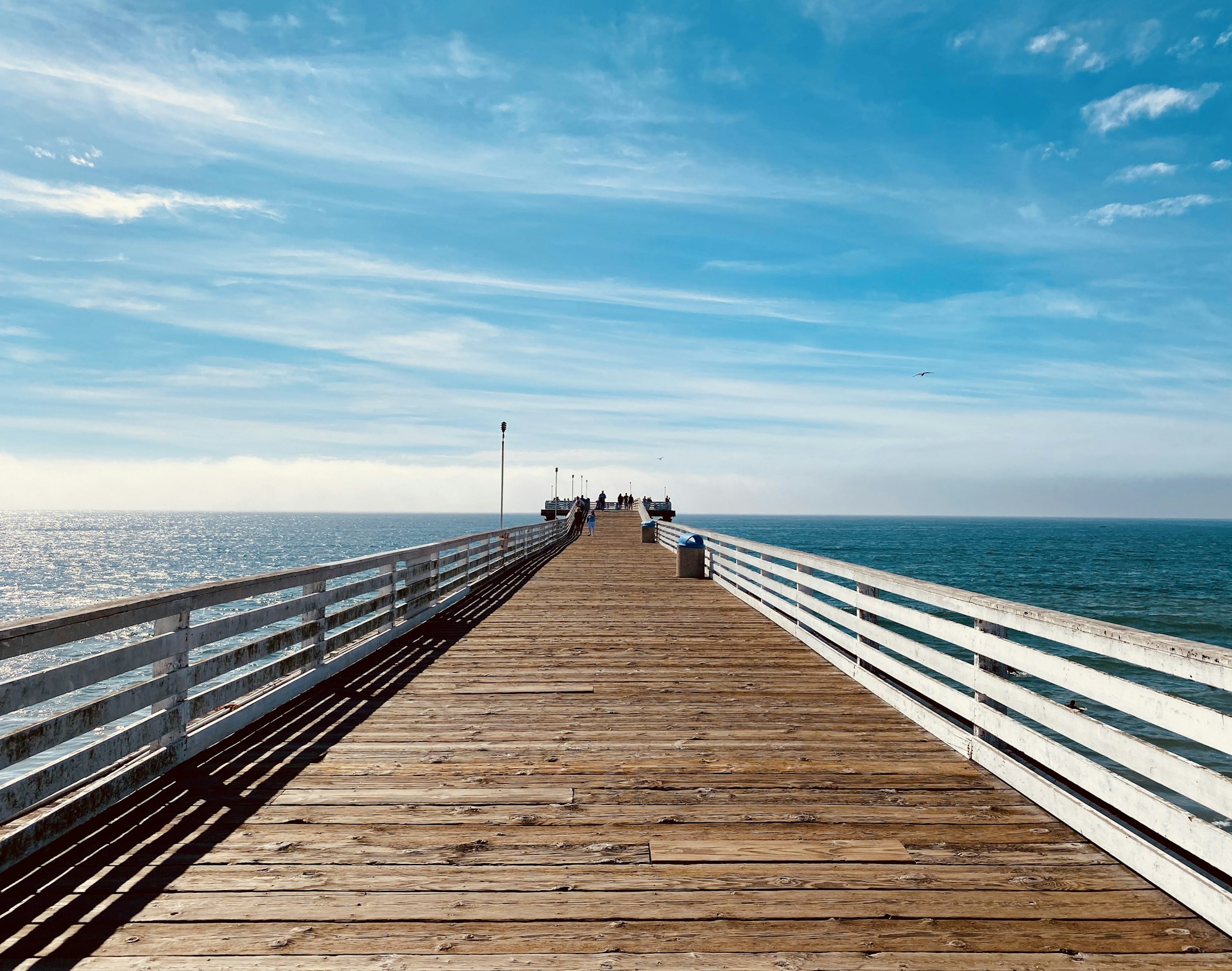 brown wooden dock near ocean