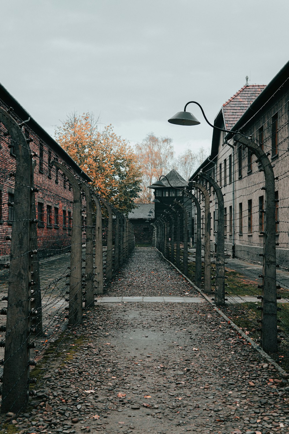 pathway in between of barbwire fence