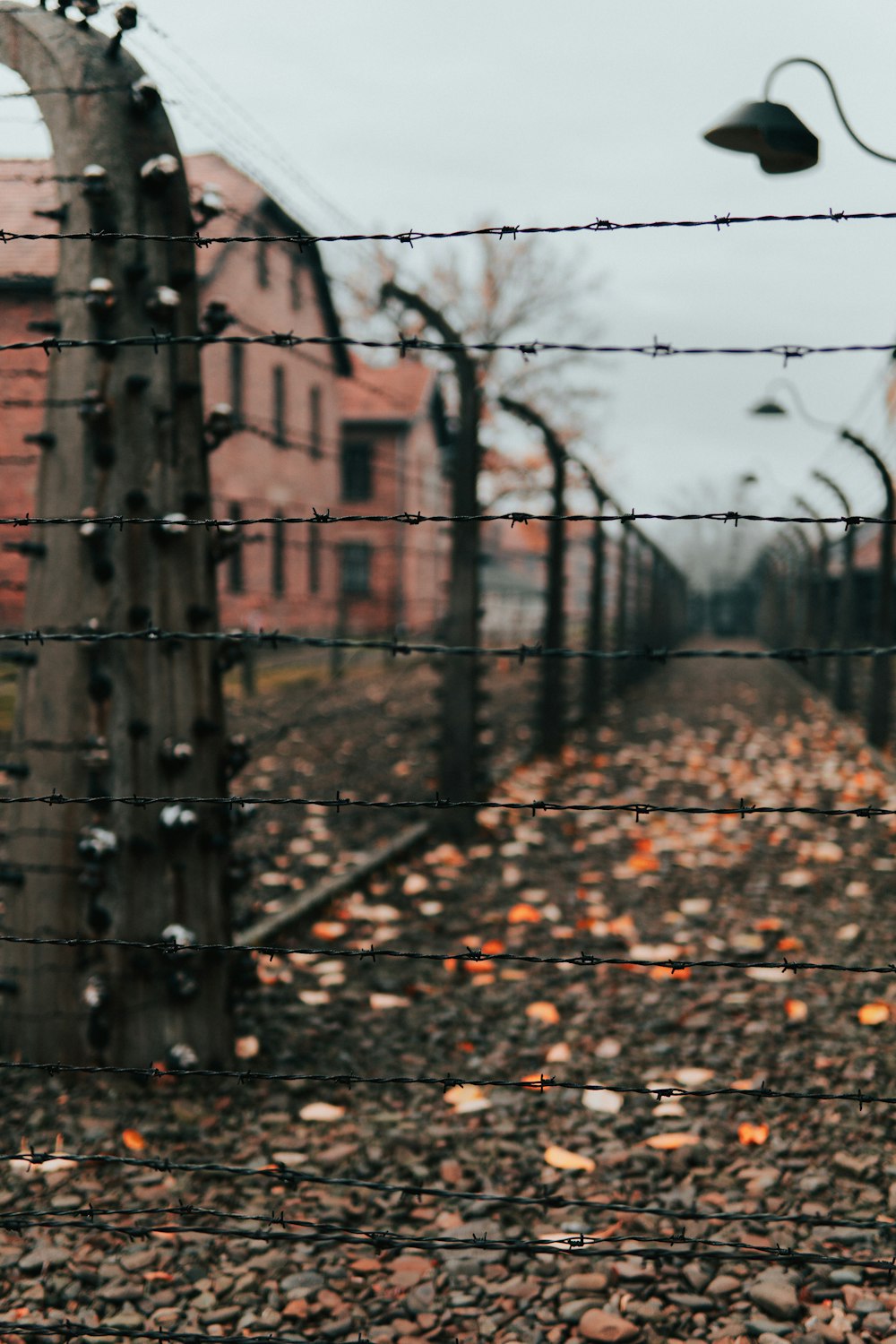 Stacheldrahtzaun in einem Konzentrationslager