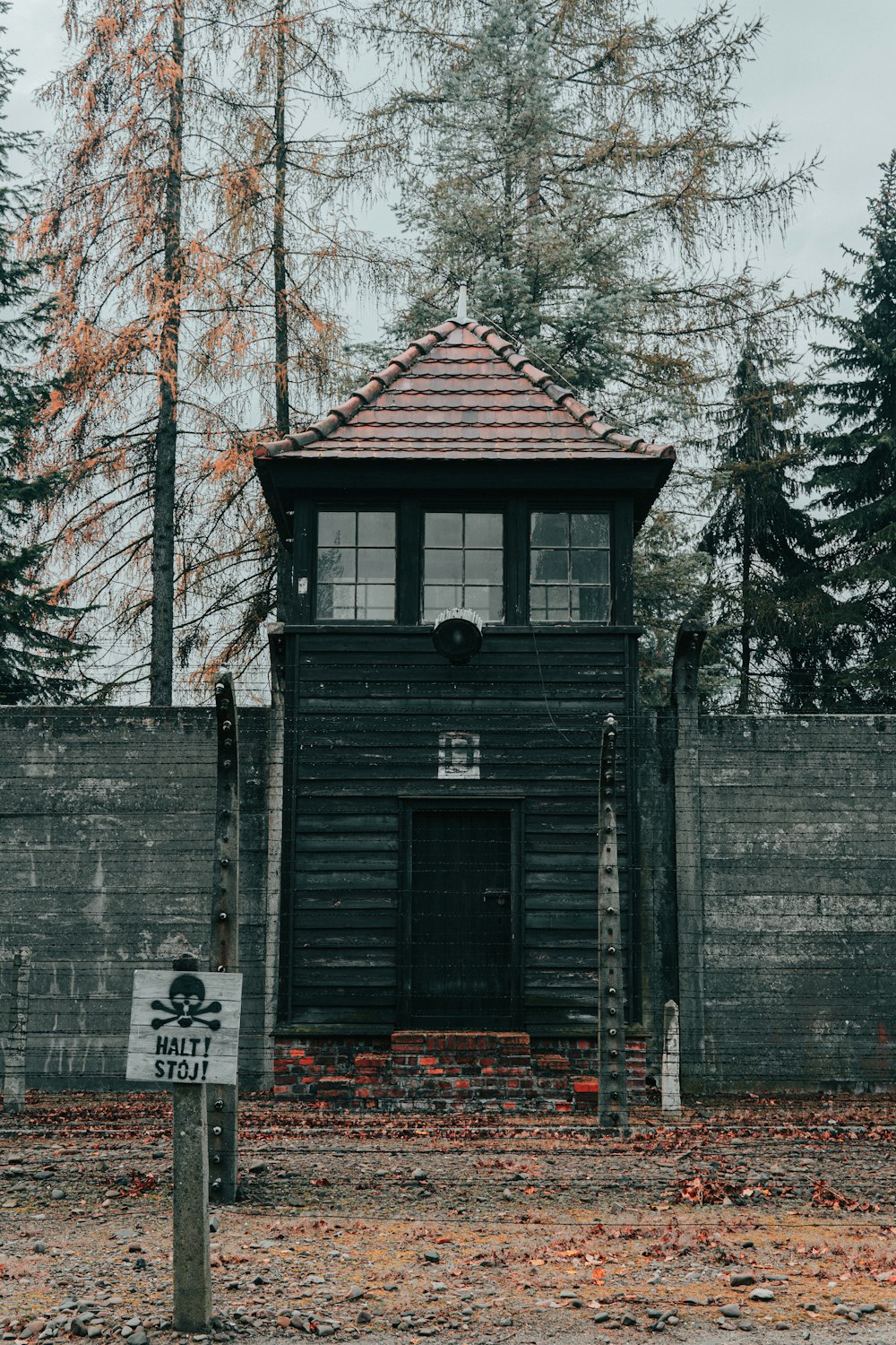 black and brown house