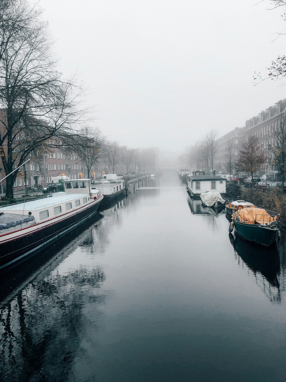 river with boats