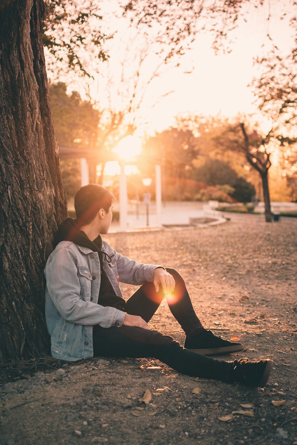 man sitting under a tree during golden hour