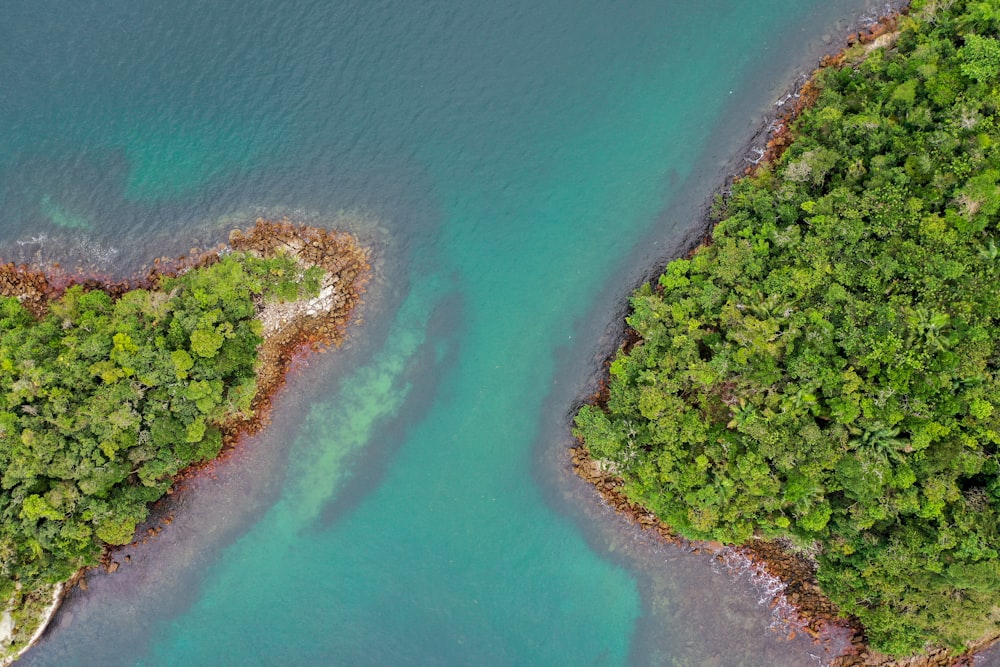 Photo aérienne d’arbres verts près d’un plan d’eau pendant la journée