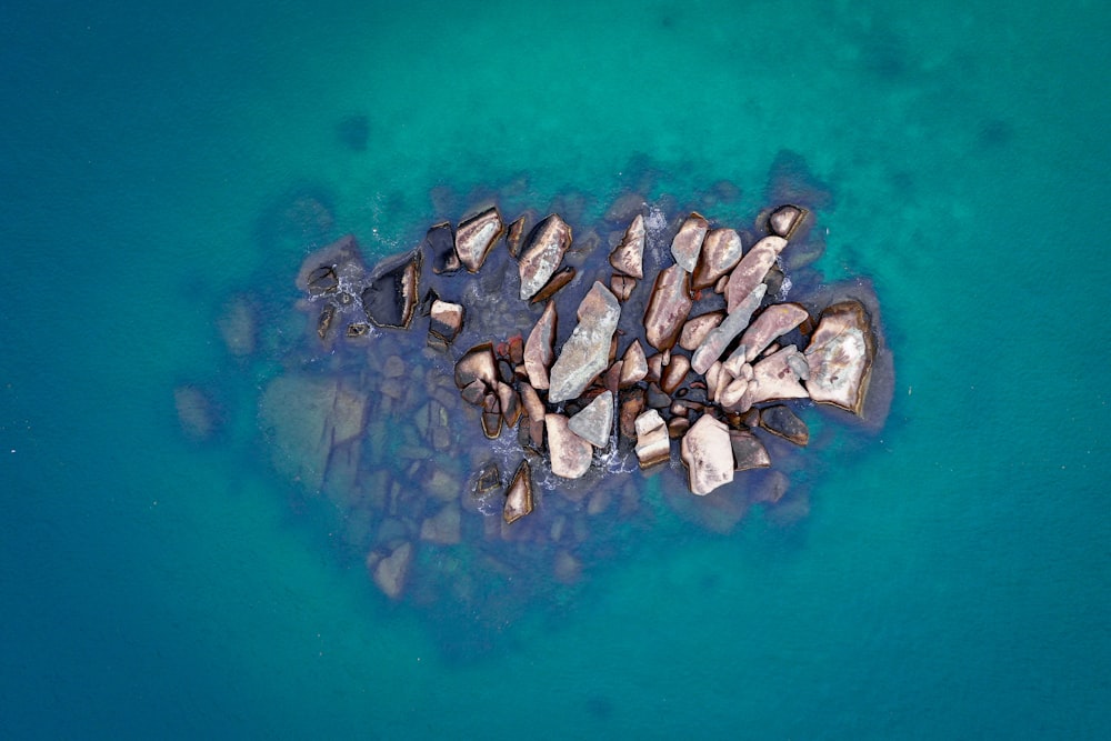 brown stones on the body of water photograph