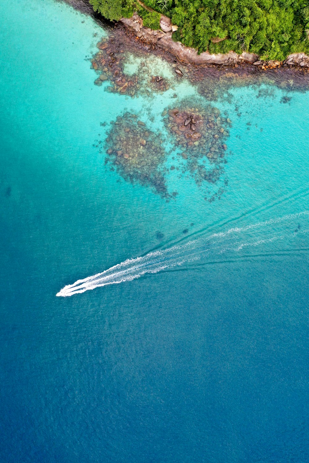 speedboat on the body of water