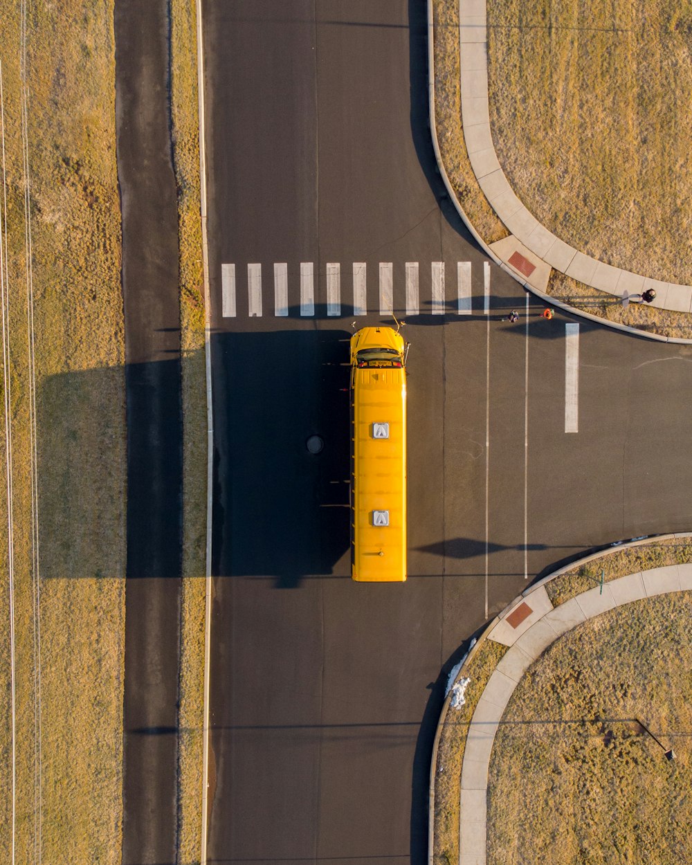 Autobús amarillo